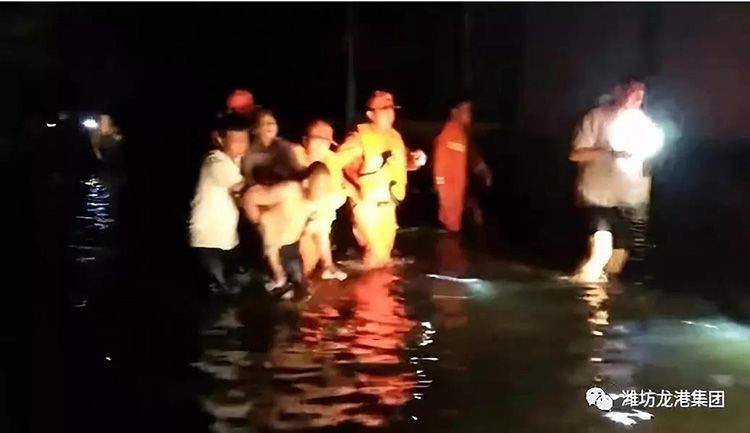 弘揚正能量——龍港集團員工見義勇為事跡！