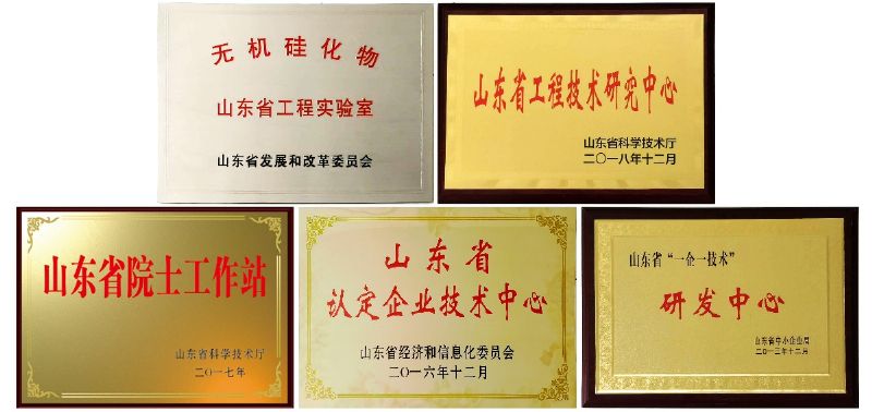 【喜訊】龍港無機硅公司獲批建立山東省無機硅化物工程實驗室！