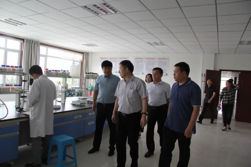 人才強企新高地:中國工程院王玉忠院士與龍港集團簽訂合作協議